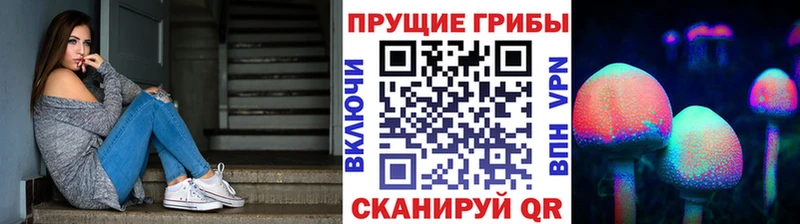 Галлюциногенные грибы MAGIC MUSHROOMS  МЕГА вход  Кубинка 